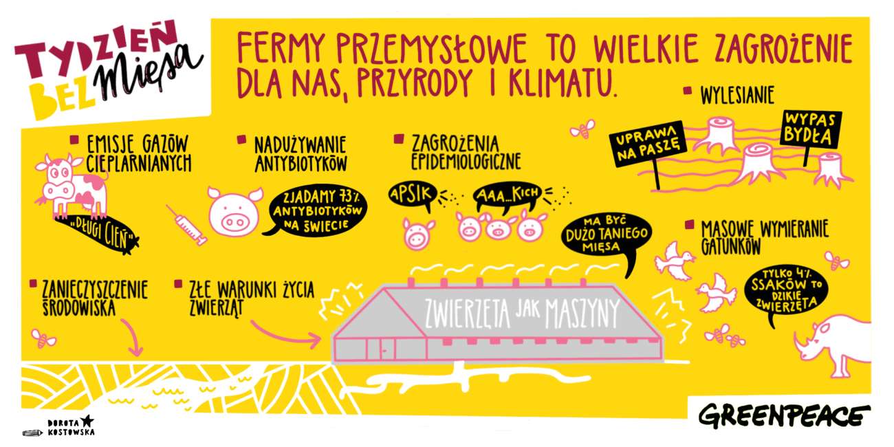 fermy przemysłowe, kampania Greenpeace Polska